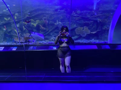 __CELESTE__ — cam show live