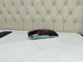 BriannaCastello — cam show live