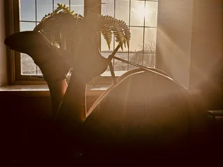KatieCarterX — cam show live