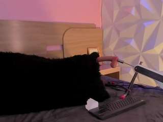kittyvelve — cam show live